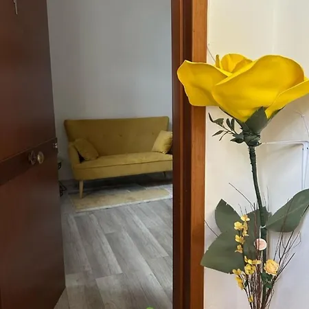 La Sosta Vintage, Esclusivo